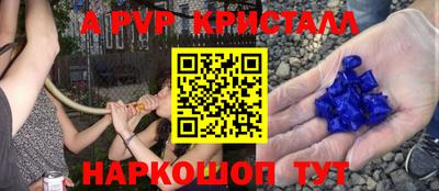 прущие грибы Можга