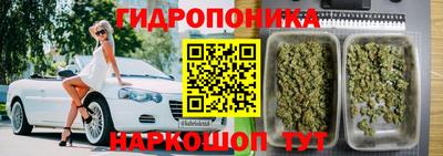 дмт Моздок