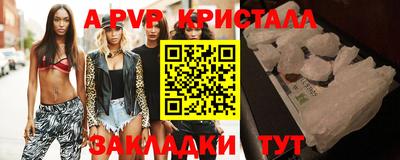 прущие грибы Можга