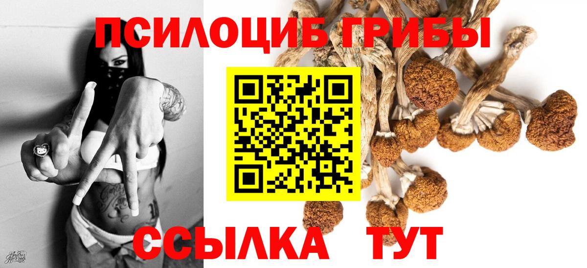 Галлюциногенные грибы Magic Shrooms Ивантеевка